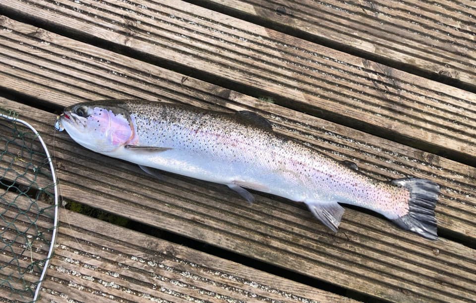 Fly fishing