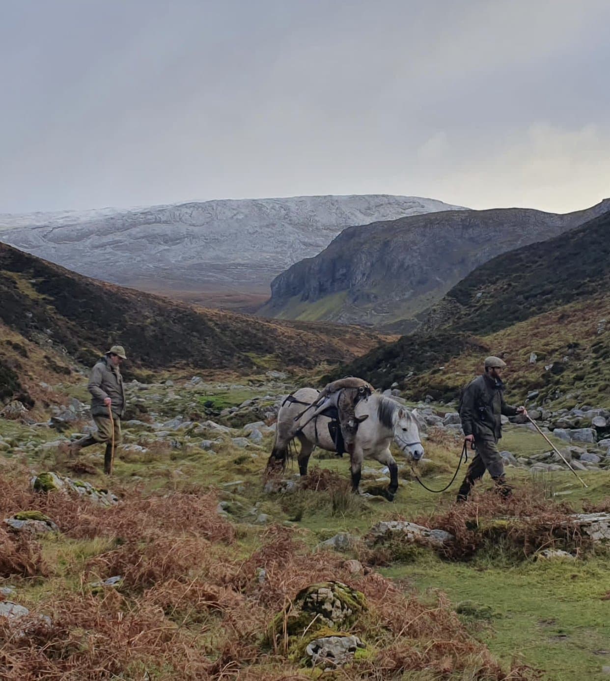 Scottish Highlands